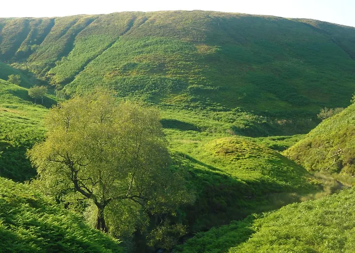 Holiday home 2 Bed In Carnforth Oc-89724 *